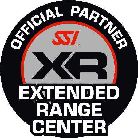 SSI XR Center Logo